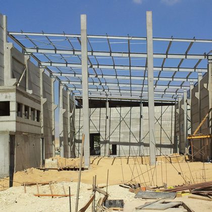 עלבד – דימונה